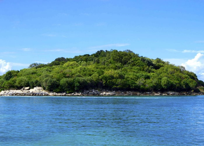 分享给大家“贵阳麻将有没有挂”(透视详细教程)-知乎 分享给大家“贵阳麻将有没有挂”(透视详细教程)-知乎