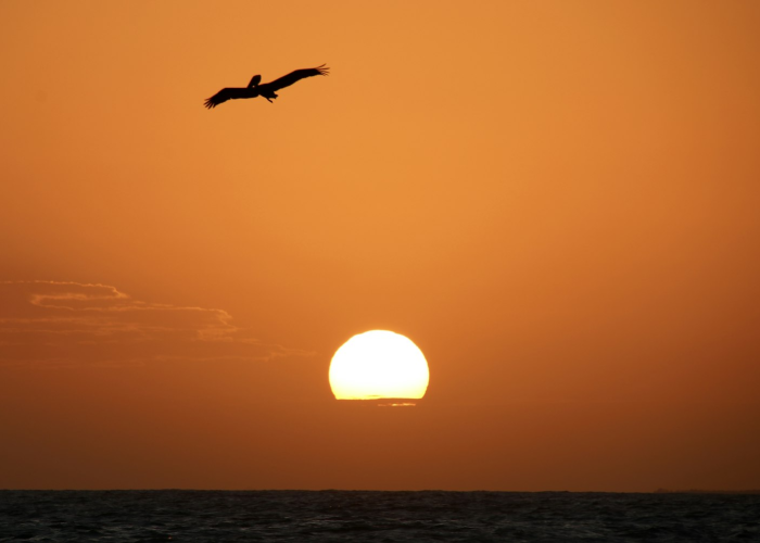 2022清明是几月几日？节气背后的传统与现代意义