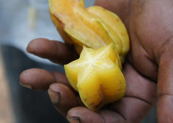 我来教大家“吉祥七公究竟有没有挂”(真实可以装挂)-知乎