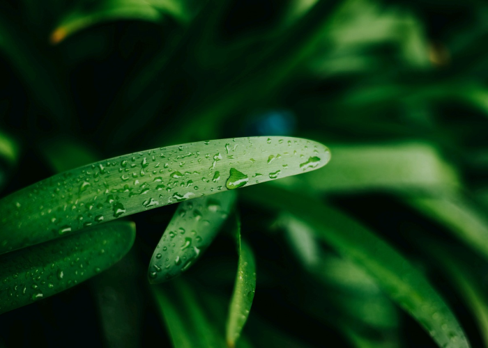 盘点必看揭秘“欢乐情怀麻将开挂辅助教程”(真实可以装挂)-知乎 盘点必看揭秘“欢乐情怀麻将开挂辅助教程”(真实可以装挂)-知乎