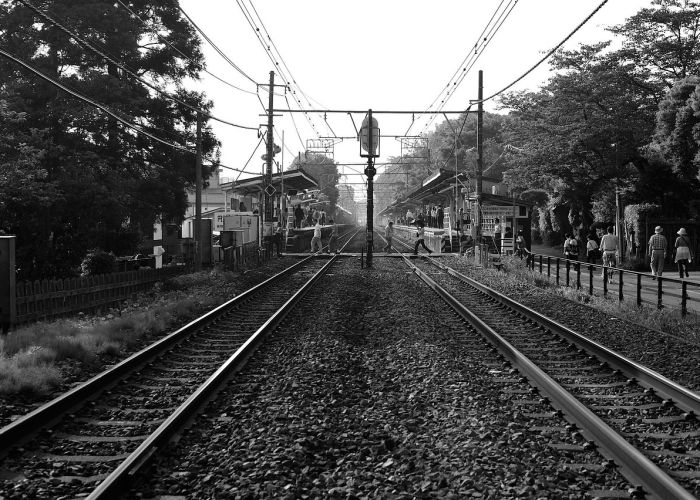 昨日新增2例本土确诊,精准防控下的动态清零进行时 昨日新增2例本土确诊,精准防控下的动态清零进行时