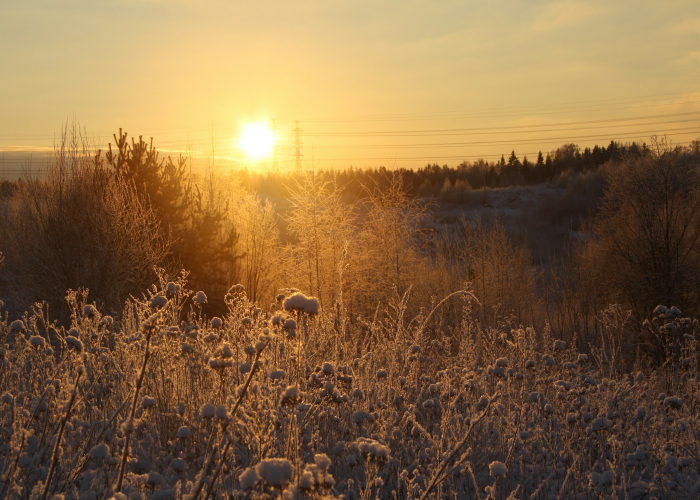 我来教大家“老友地方游戏透视软件教程”(辅助开挂教程)-知乎