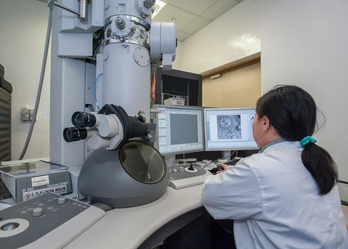 玩家必看“打哈儿麻将透视挂辅助”(原来确实有挂)-知乎