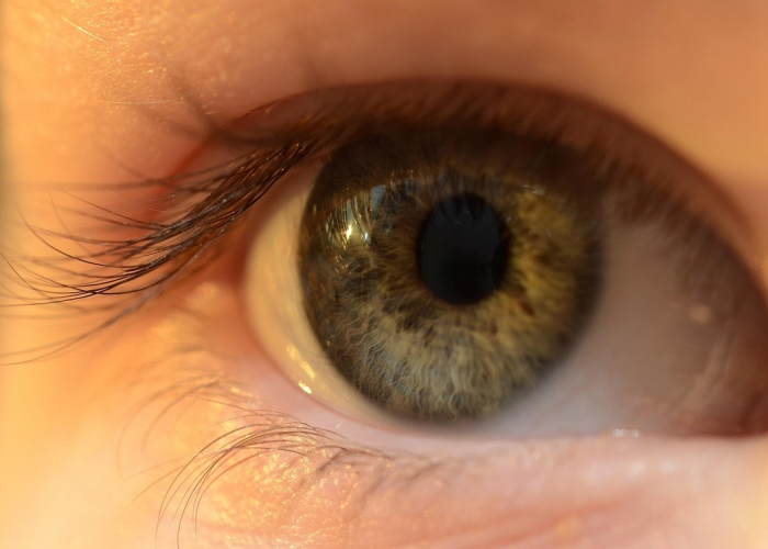 玩家分享攻略“越乡游新昌麻将确实有透视辅助”(开挂提高胜率)-知乎