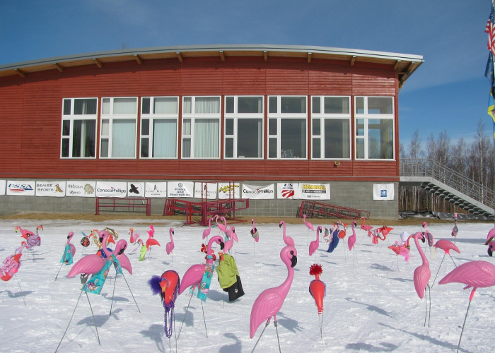 揭秘海山开门任务全流程,经典团队副本的入场钥匙 揭秘海山开门任务全流程,经典团队副本的入场钥匙