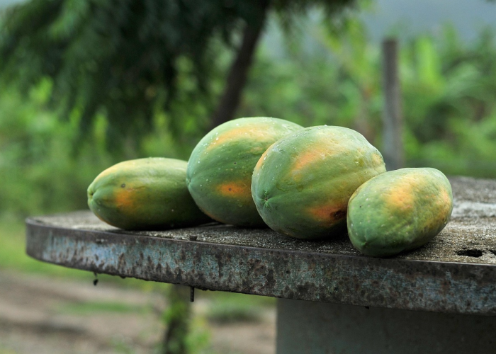 全网解答“欢乐谷透视开挂教程”(开挂提高胜率)-知乎 全网解答“欢乐谷透视开挂教程”(开挂提高胜率)-知乎