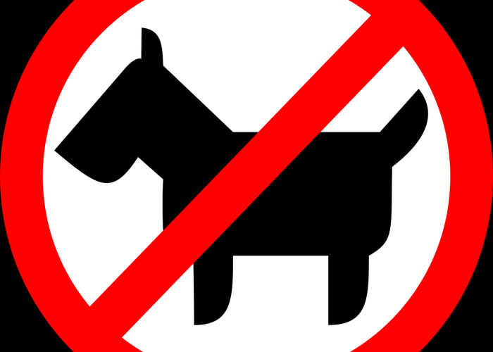 大连事件处理结果公布,法治进程中的公共安全警示与制度反思 大连事件处理结果公布,法治进程中的公共安全警示与制度反思