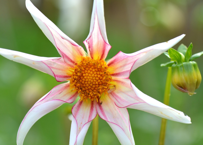 盘点必看揭秘“经典比鸡透视开挂功能”(开挂提高胜率)-知乎 盘点必看揭秘“经典比鸡透视开挂功能”(开挂提高胜率)-知乎