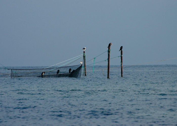 江苏新增本土病例94例，精准防控下的闪电战与全民防线
