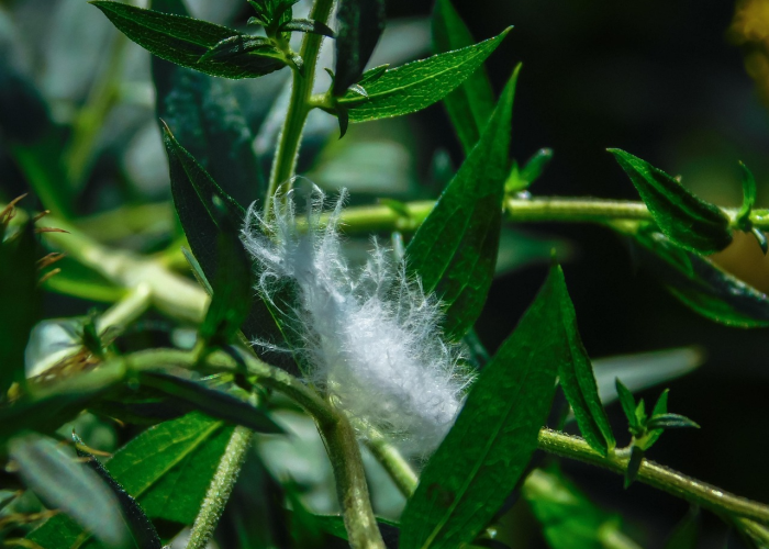 37696931省区市本土零新增，来之不易的清零时刻，常态化防控仍需坚守