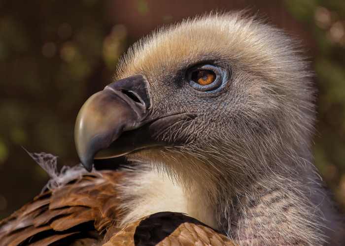 济南疫情风险研判,当前属于低风险,但防控意识不可松懈 济南疫情风险研判,当前属于低风险,但防控意识不可松懈