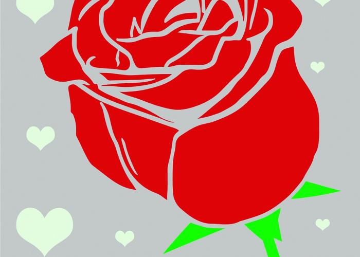 玩家必看科普“新青鸟透视开挂功能”(辅助开挂教程)-知乎 玩家必看科普“新青鸟透视开挂功能”(辅助开挂教程)-知乎