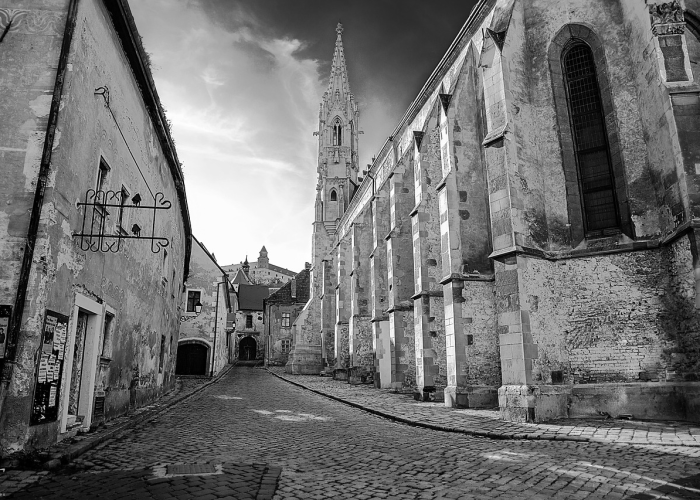 枣阳市积极应对新型冠状病毒疫情，最新防控进展与市民提醒