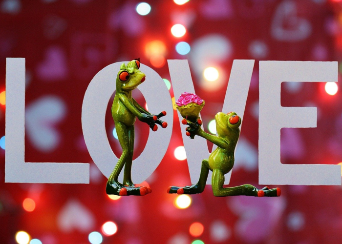 我来教大家“凑局麻将究竟有没有挂”(辅助开挂教程)-知乎