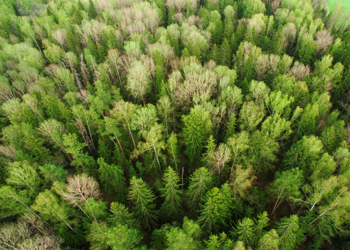 潍坊疫情最新动态，科学防控与全民合力共筑安全防线