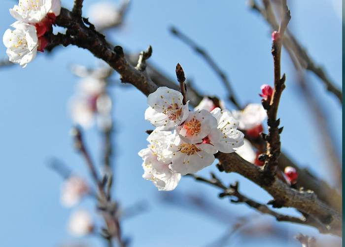 【玩家必看实操】“贰柒拾能怎么开挂”(果然有挂)-知乎 【玩家必看实操】“贰柒拾能怎么开挂”(果然有挂)-知乎