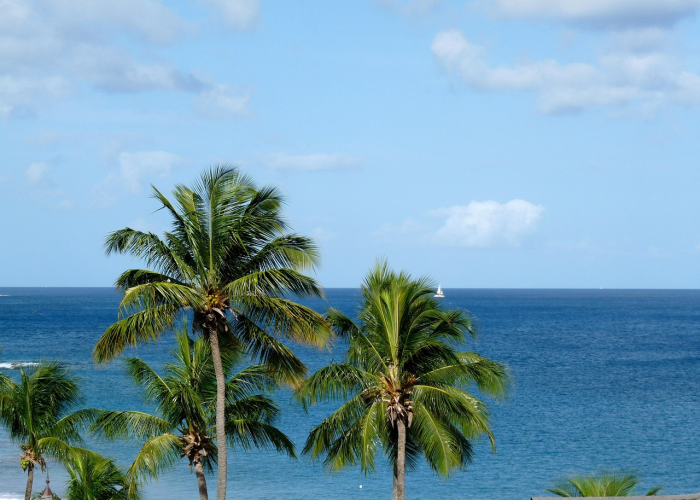张家界疫情防控最新动态，旅游复苏与常态化防控并进