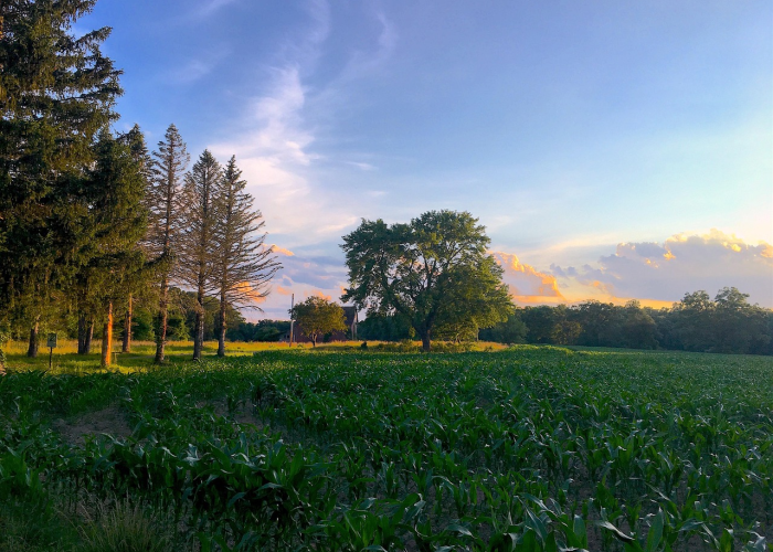 铁力疫情情况，精准防控下的城市韧性与全民担当
