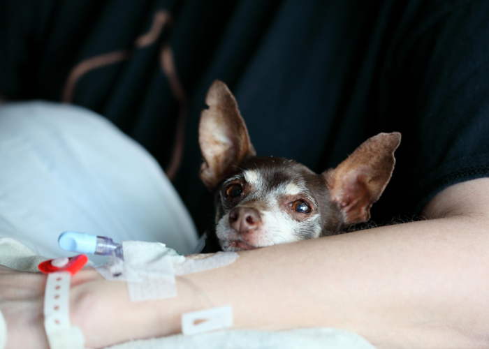 实操教程“填大坑确实有透视辅助”(果然有挂)-知乎