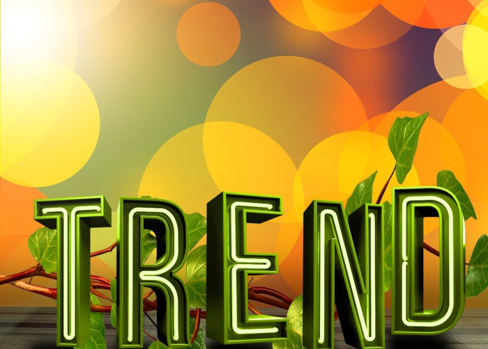 清明时节,在暂停中寻找前行的力量 清明时节,在暂停中寻找前行的力量