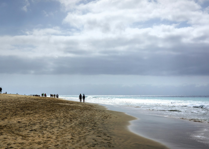 【玩家必看实操】“多乐跑胡子透视软件挂”(千真万确有挂)-知乎 【玩家必看实操】“多乐跑胡子透视软件挂”(千真万确有挂)-知乎