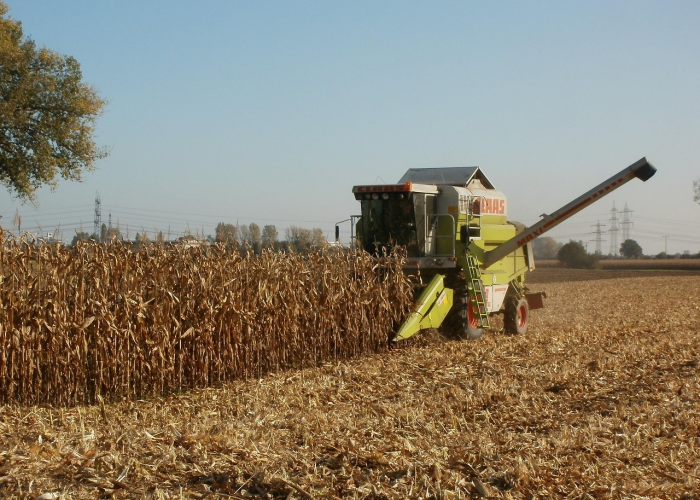 我来教大家“葫芦娃三娃透视开挂教程”(详细开挂教程)-知乎