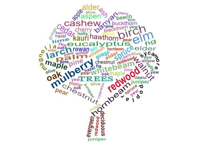 科兴真的比北京生物好吗?基于数据与事实的疫苗比较 科兴真的比北京生物好吗?基于数据与事实的疫苗比较