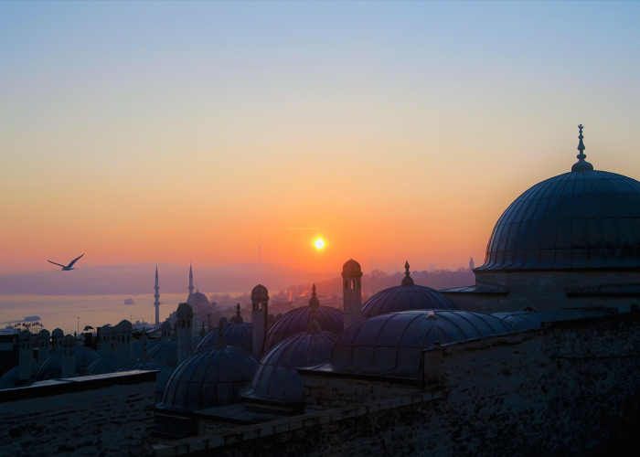 经验总结“六瓣数字消确实有挂”(辅助开挂教程)-知乎 经验总结“六瓣数字消确实有挂”(辅助开挂教程)-知乎