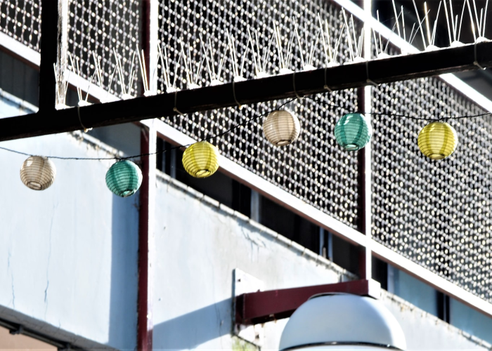 独家发现“胡一把呼包鄂麻将究竟怎么透视”(原来确实有挂)-知乎