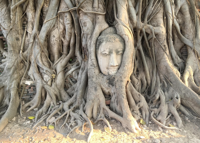 青岛疫情今日动态,社会面清零攻坚,防控网持续织密 青岛疫情今日动态,社会面清零攻坚,防控网持续织密