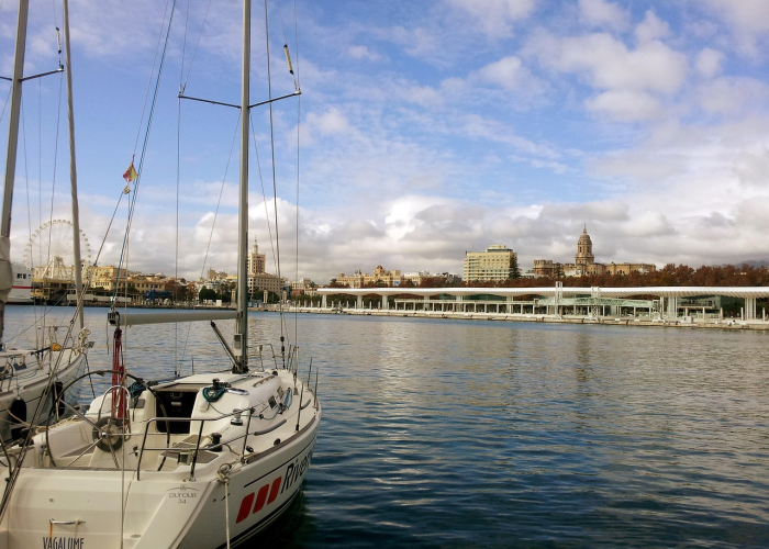 中央高度评价新疆防疫工作，科学精准施策 筑牢边疆安全屏障