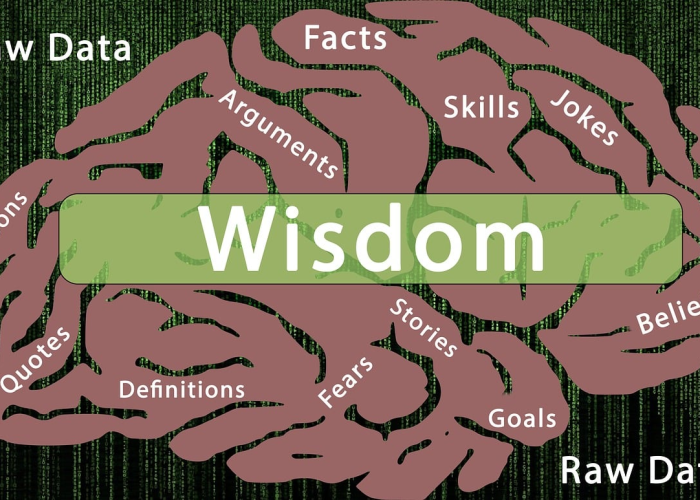 十大分享“白金岛十胡卡透视开挂教程”(开挂透视方法)-知乎