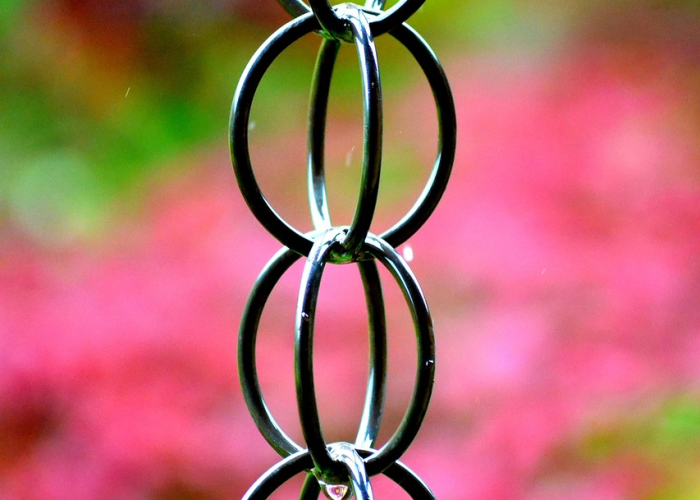 低风险地区,精准防疫的安全区与动态平衡的艺术 低风险地区,精准防疫的安全区与动态平衡的艺术