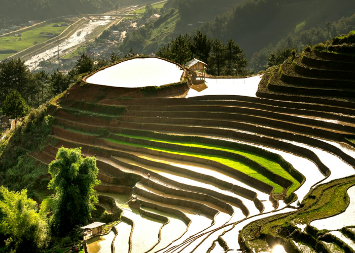 黑河疫情起源，边境城市的抗疫挑战与启示