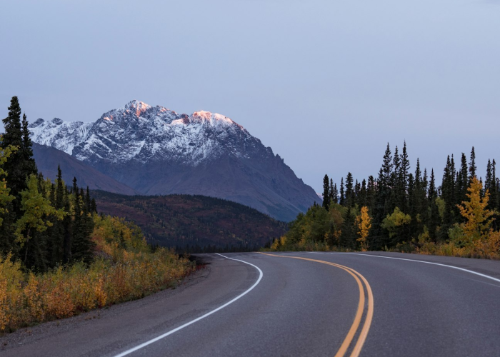 600723股吧风云,散户情绪、市场博弈与投资理性的多维透视 600723股吧风云,散户情绪、市场博弈与投资理性的多维透视