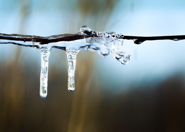 五月疫情观察，防控常态化下的新挑战与应对