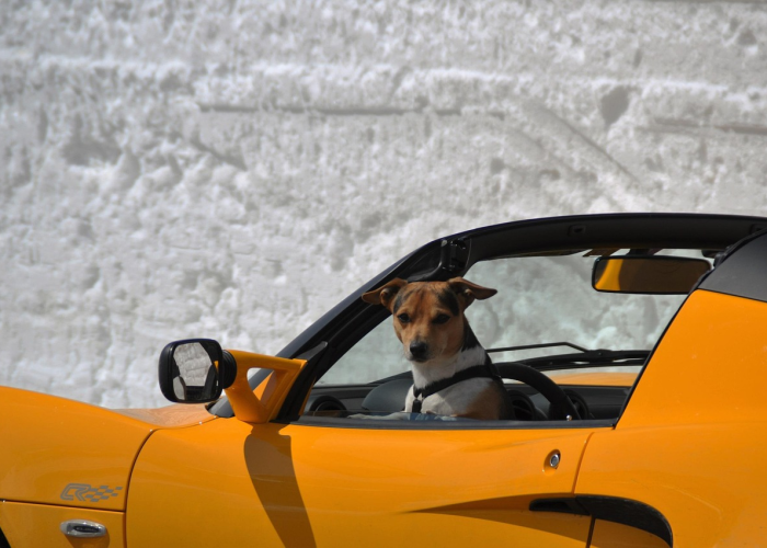 二手福特定律,为什么你的蒙迪欧三年后只值一半? 二手福特定律,为什么你的蒙迪欧三年后只值一半?