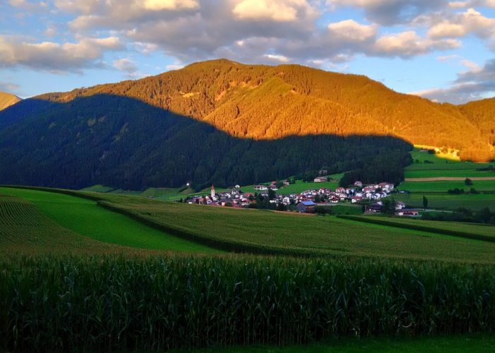 河北饶阳,华北平原上的京南花木第一县 河北饶阳,华北平原上的京南花木第一县