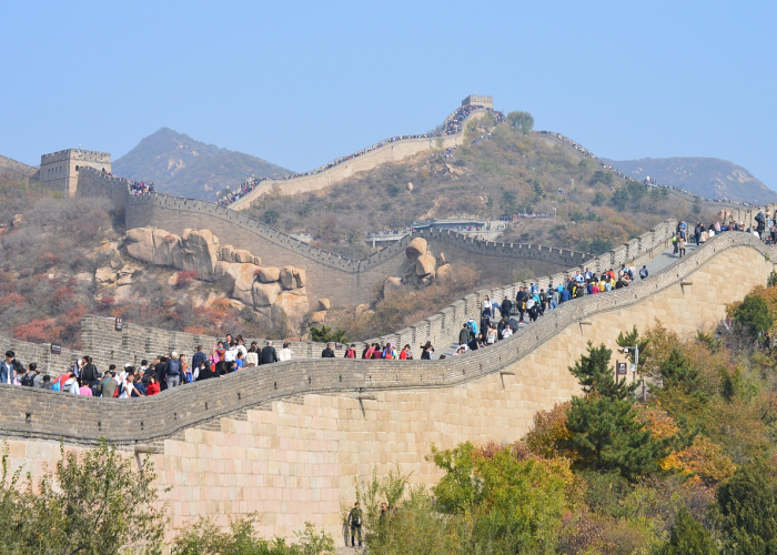 河北饶阳,华北平原上的京南花木第一县 河北饶阳,华北平原上的京南花木第一县