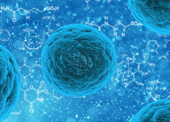 西安近期呼吸道感染高发，多种病毒交织，科学防护是关键