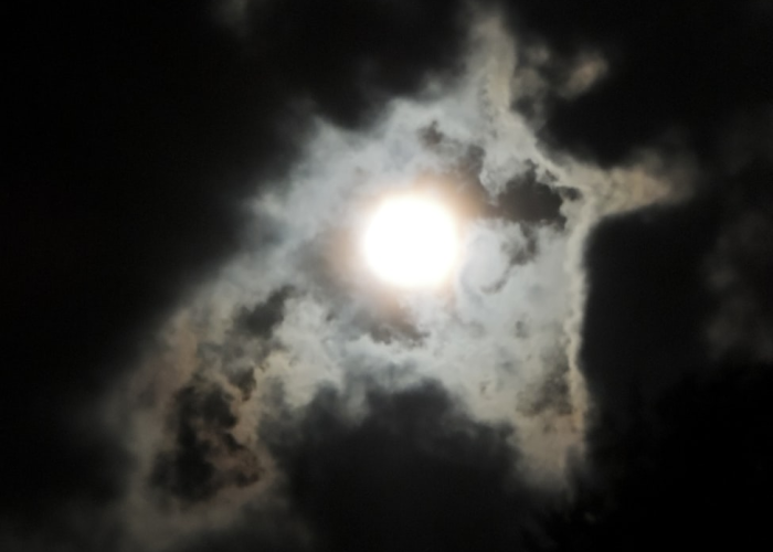 白云之下,核酸点的日与夜 白云之下,核酸点的日与夜