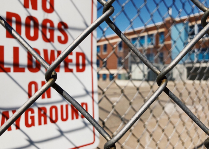 构筑生命防线，交通安全教育内容全指南