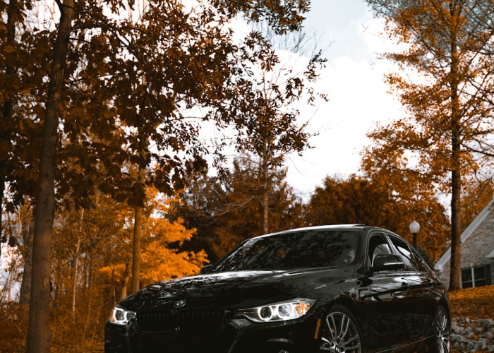 大神爆料“天天比鸡有没有透视辅助”(详细开挂教程)-知乎