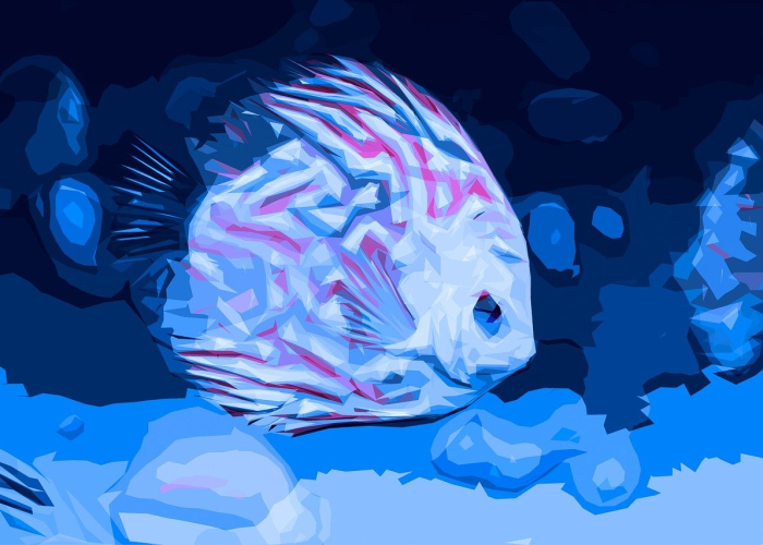 新冠纪年,从2019年暴发到全球紧急状态的终结 新冠纪年,从2019年暴发到全球紧急状态的终结