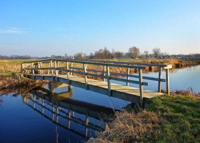 终于搞定“丫丫老陕麻将有没有开挂透视”(确实能开挂)-知乎