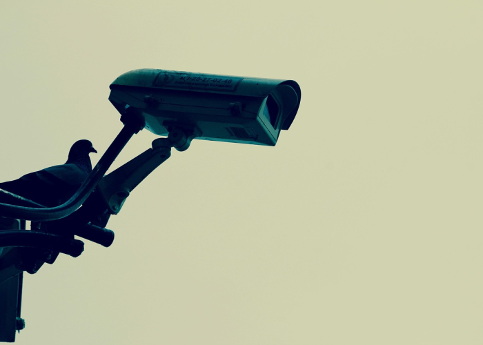 广西梧州病毒监测动态,最新防控进展与公众防护提示 广西梧州病毒监测动态,最新防控进展与公众防护提示