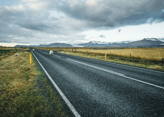 经验分享“海讯麻将到底有没有开挂”(其实确实有挂)-知乎