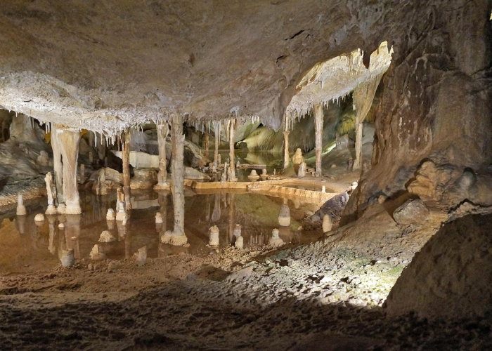 今日重大消息“福建众娱确实有挂”(其实确实有挂)-知乎