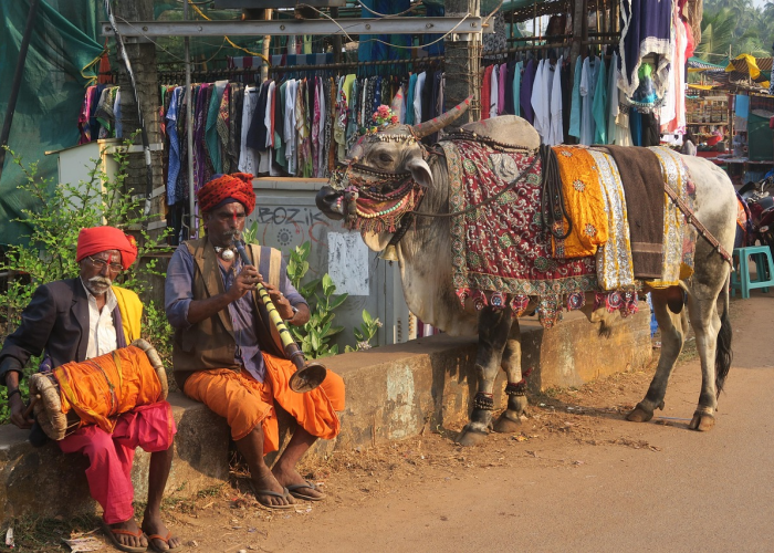 滨州疫情活动房后遗症，闲置板房何去何从？