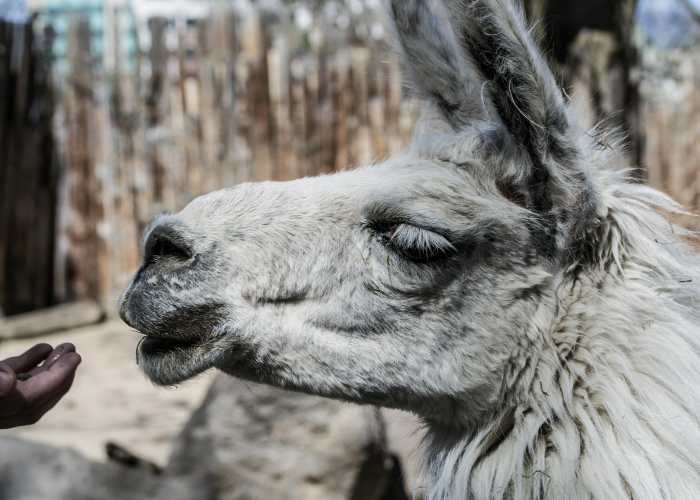十大爆料“牛财神到底有没有开挂”(详细开挂教程)-知乎